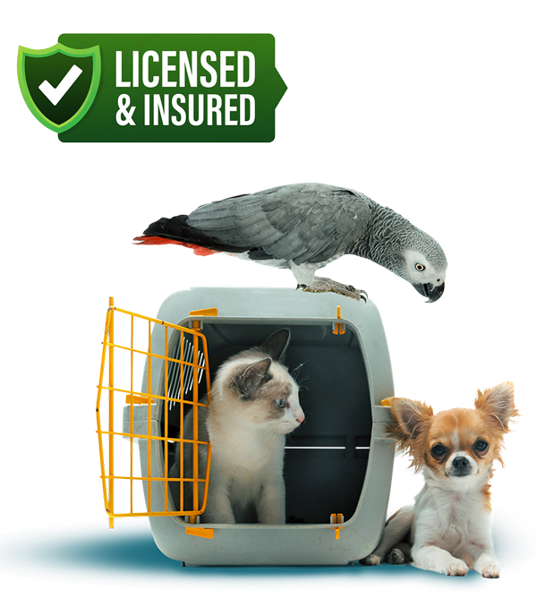 Safety detail preview